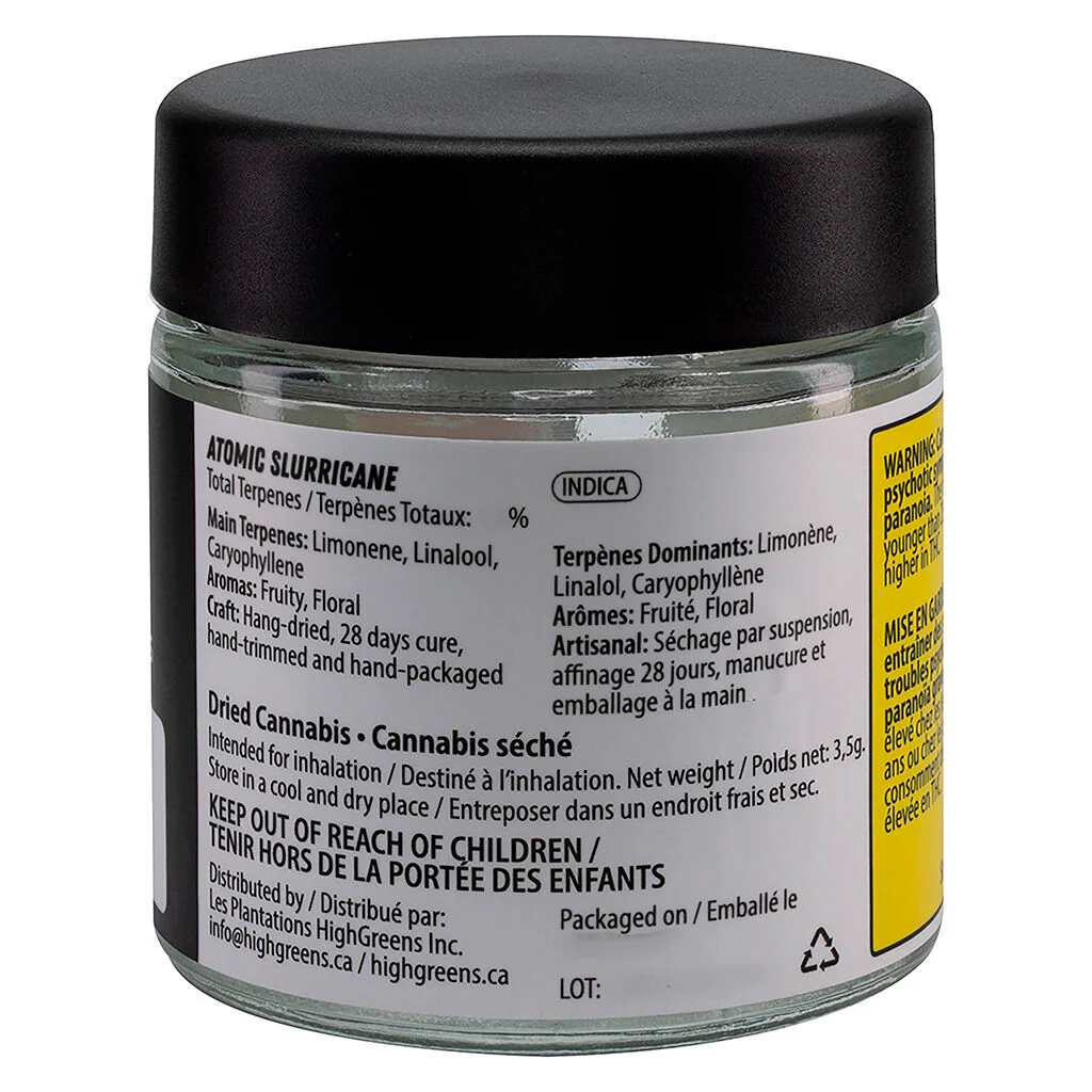 ATOMIC SLURRICANE - Image 3