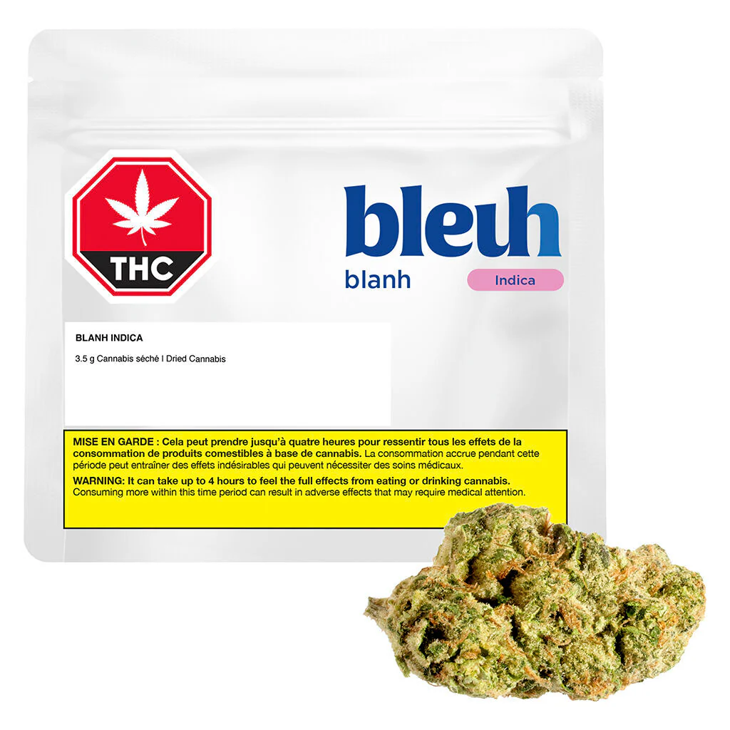 Blanh Indica - Image 4