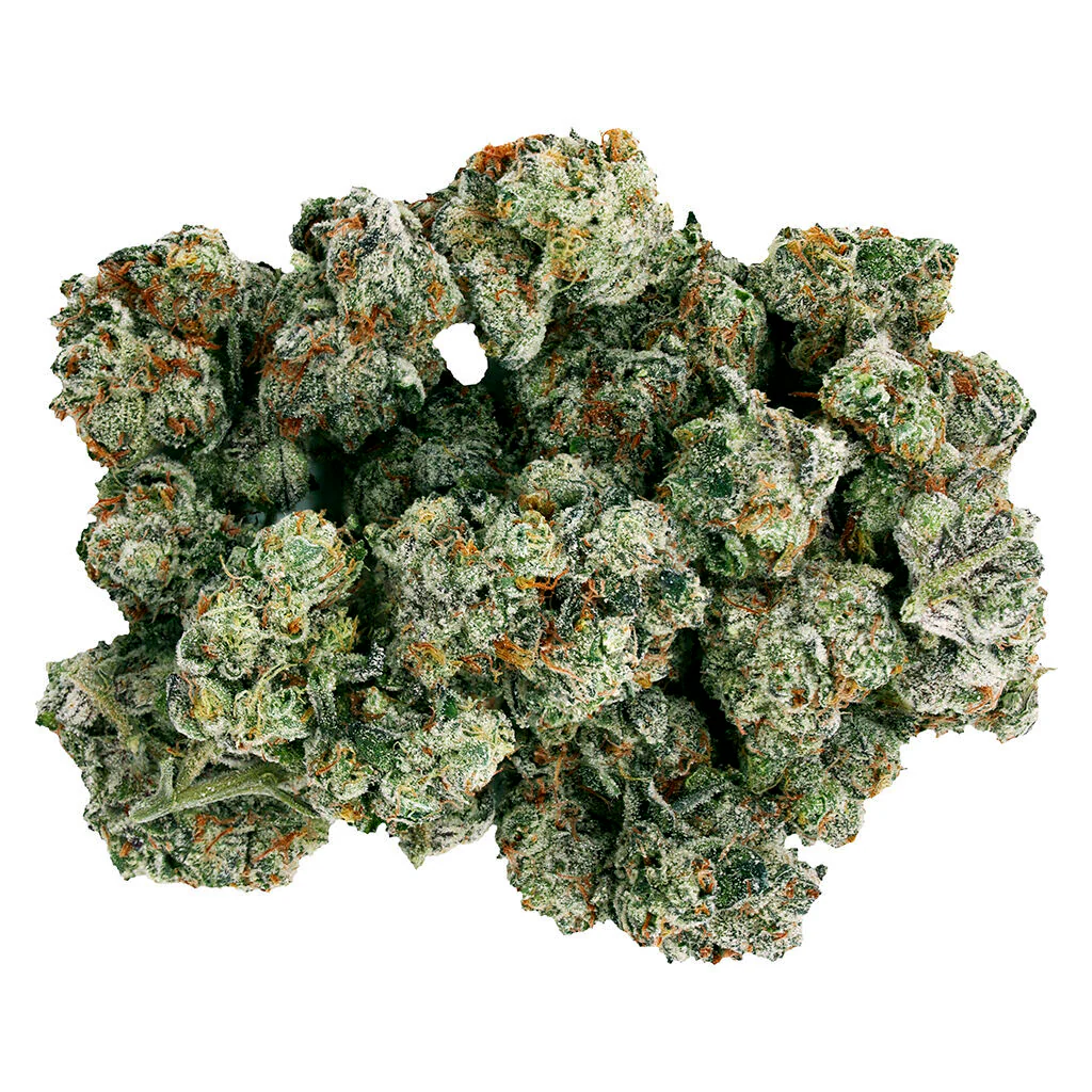 Frenchy Macaroni - Image 6