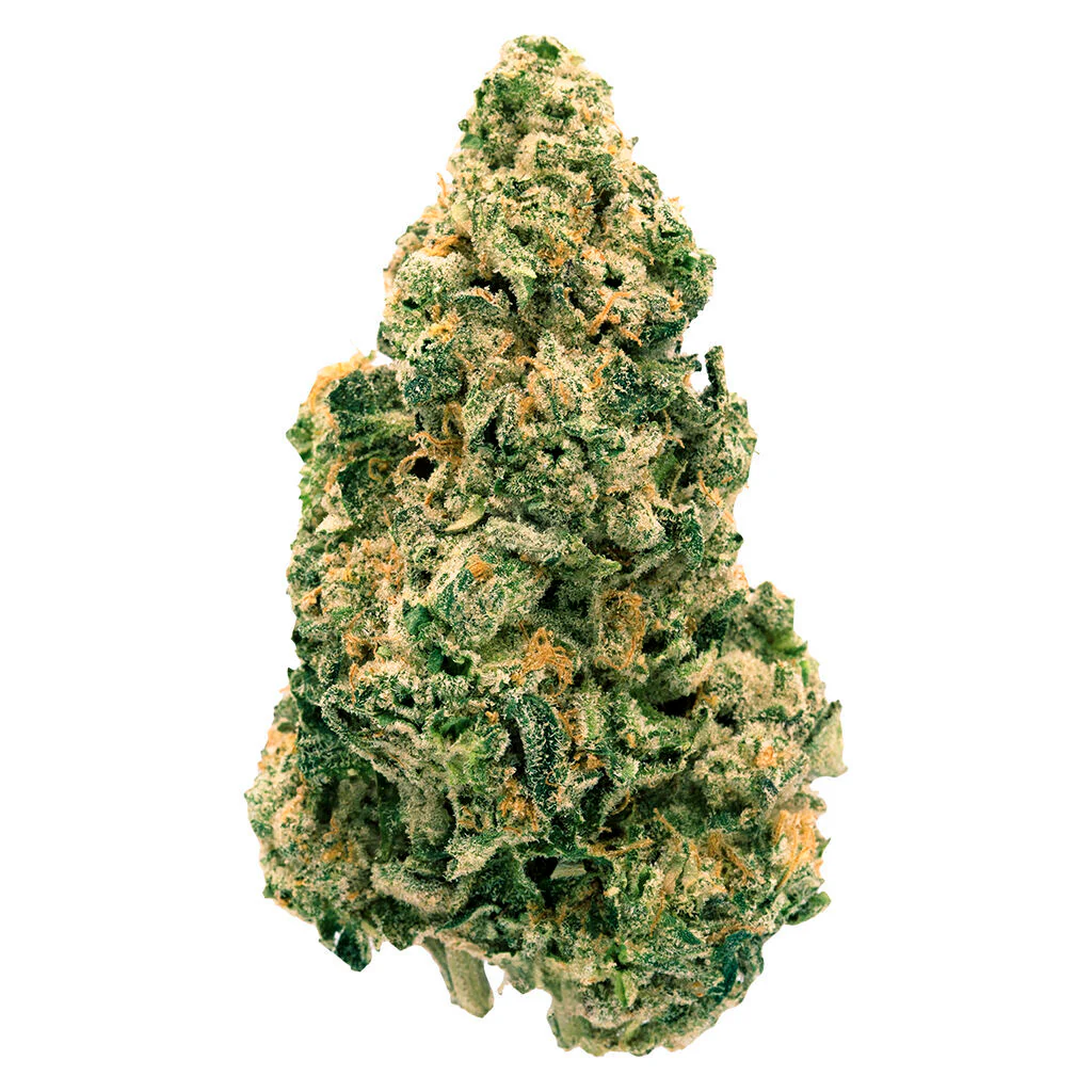 Galactic Jack - Image 3
