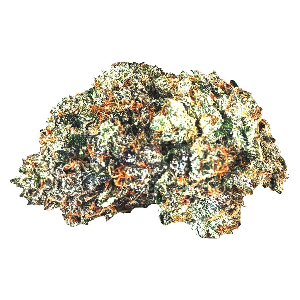 Gas n' Up - Image 6