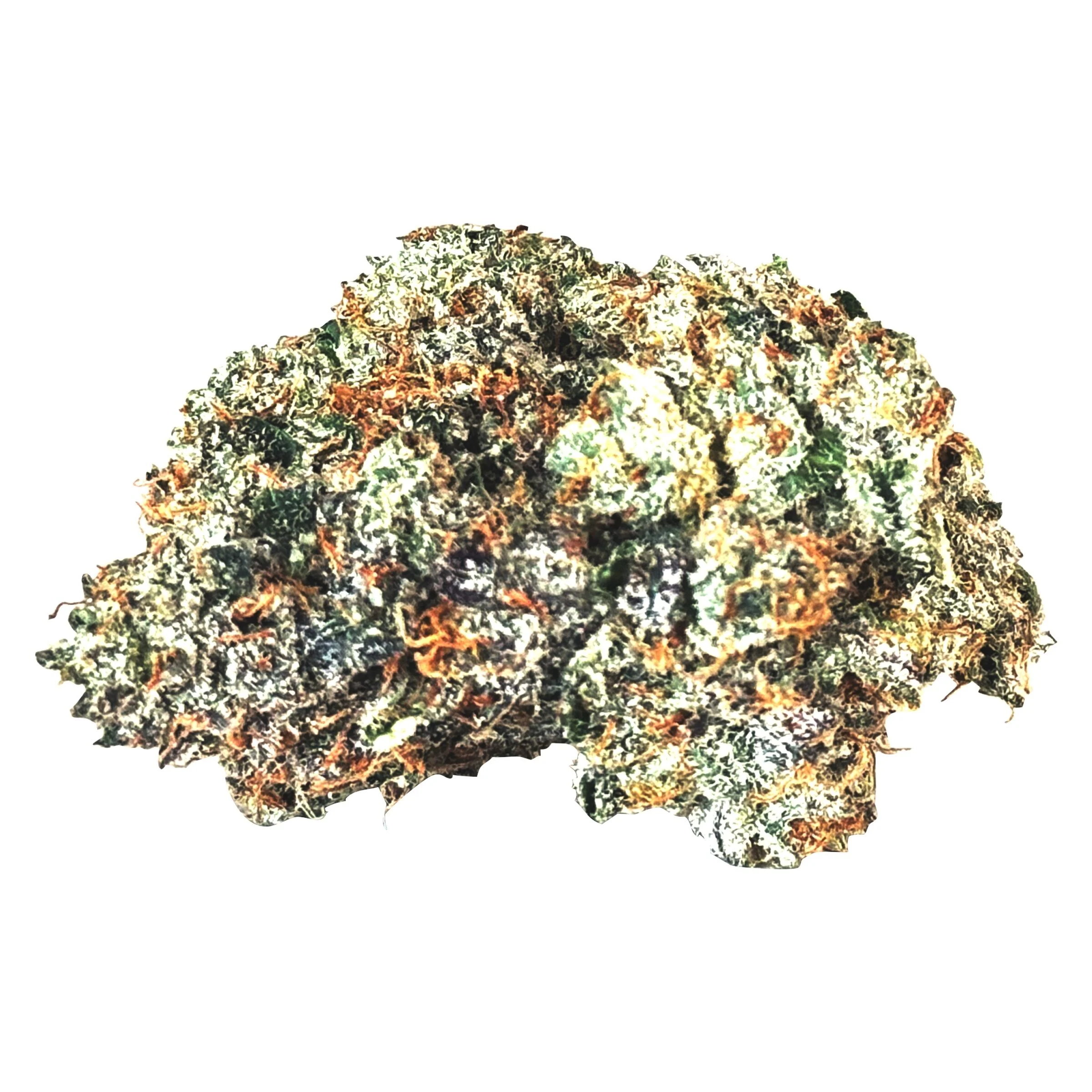 Gas nâ Up - Image 3