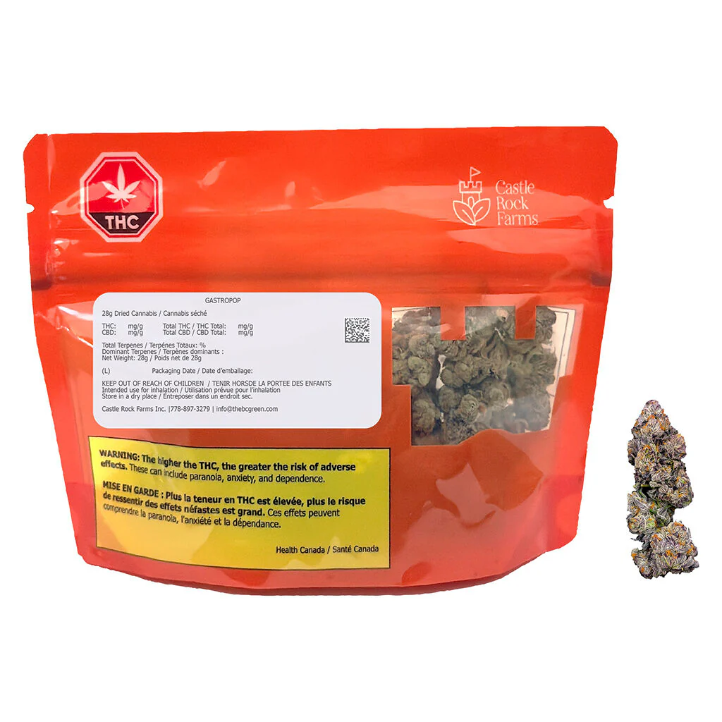 GastroPop - Image 4