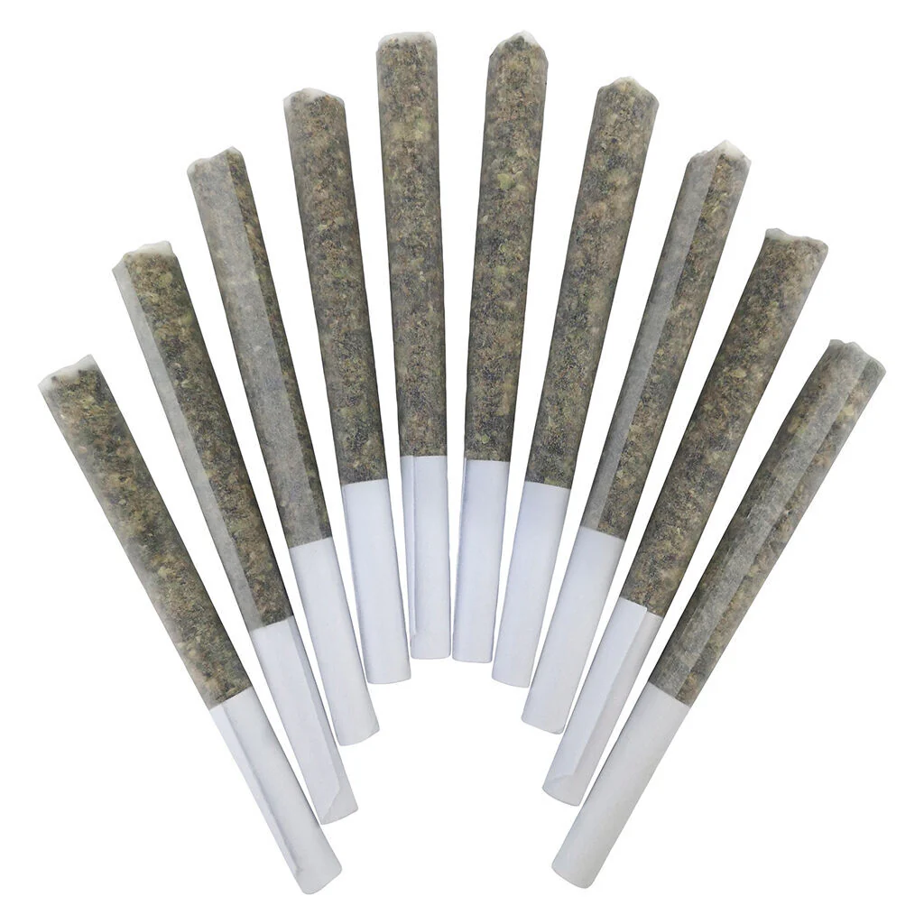 Genghis Chron Pre-Roll