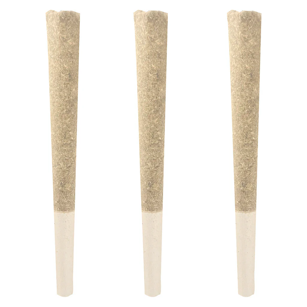 Ghost Banner Pre-Roll