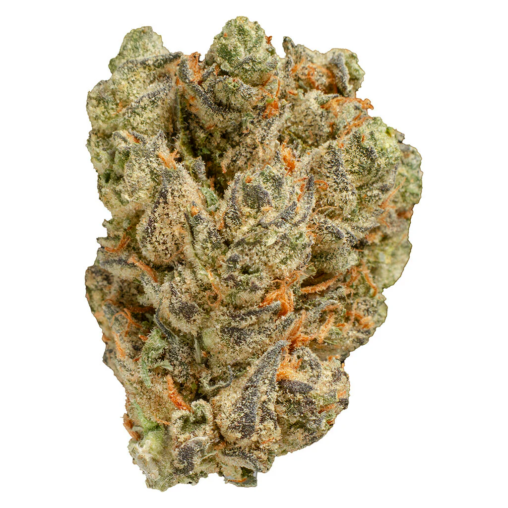Peach Tree - Image 5
