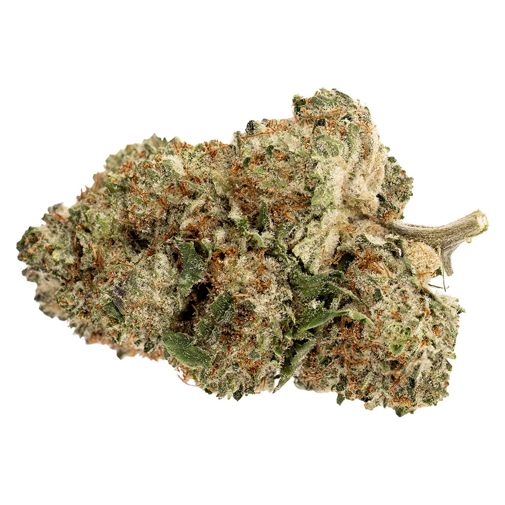 Pink Rhino - Image 3