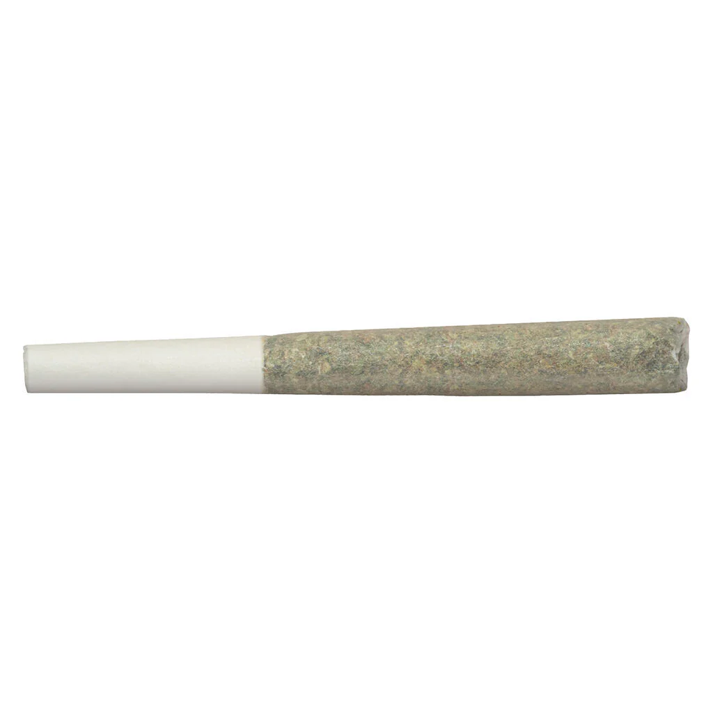 Préroulé Blanh Indica
