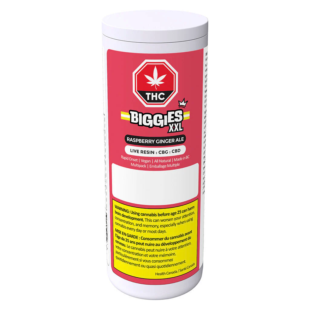 Raspberry Ginger Ale Multipack - Image 2