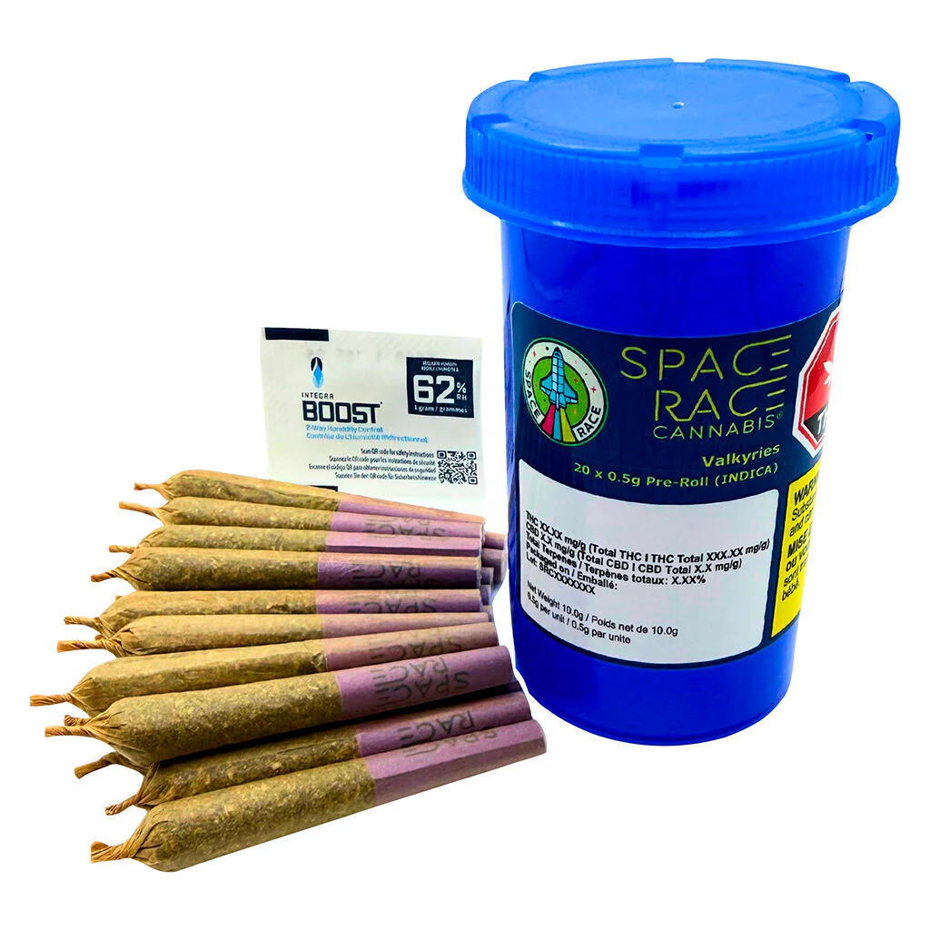 Valkyries Pre-Roll - Image 4